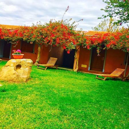 Hotel Sant Efisio Lotzorai Exteriér fotografie
